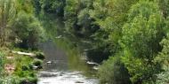 El río Arlanza, entre Hortigüela y Covarrubias, Burgos / ALC