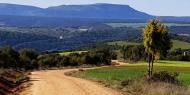 Valle del Arlanza, camino de Covarrubias / ALC 