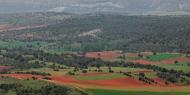 Paisaje desde el castillo de Picón de Lara.  Lara de los Infantes, Burgos / ALC