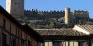 Castillo de Peñaranda de Duero, Burgos / ALC