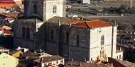 Colegiata de Santa Ana. Peñaranda de Duero, Burgos / ALC