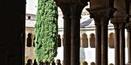 Ciprés del claustro románico de Santo Domingo de Silos, Burgos / ALC.