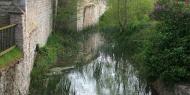 Cauce Molinar en la Legua Cero. Vivar del Cid, Burgos / ALC