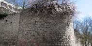 La muralla de Burgos en el Paseo de los Cubos / ALC