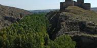 Castillo de Berlanga de Duero, Soria / ALC