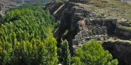 Castillo de Berlanga de Duero / ALC