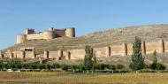 Castillo de Berlanga de Duero, Soria / ALC