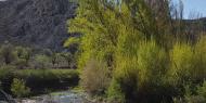 El río Abión a su paso por El Burgo de Osma / ALC 