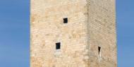 Castillo del Cubo en Langa de Duero, Soria. ALC