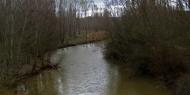 Río Duero en invierno. Langa de Duero / ALC