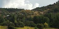 Paisaje en Castejón de Henares, Guadalajara. ALC