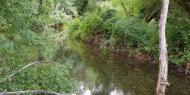 Río Dulce a su paso por La Cabrera, Guadalajara / ALC