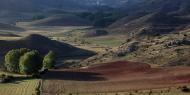 El valle de Arbujuelo, Soria / ALC.