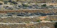 Ancestral stone wall constructions in Villafranca del Cid, province of Castellón /  Manuel Moliner Marín.