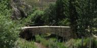 Puente de Huesa del Común, Teruel / ALC.