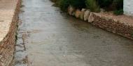 Río Gallo. Orihuela del Tremedal, Teruel / ALC