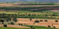 El valle del Jiloca, un espacio natural e histórico de primera magnitud en las provincias de Zaragoza y Teruel / ALC.