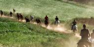 Recua de caballos en el Camino del Cid / Juan Antonio Bascón.