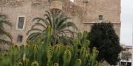 Castillo palacio de Altamira, antigua alcazaba árabe de Elx - Elche, Alicante / ALC.