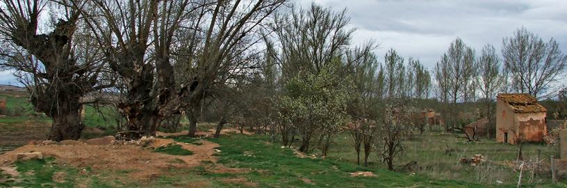 Aldea de San Esteban, Soria