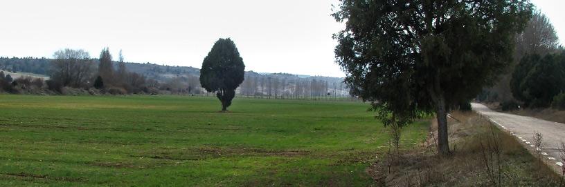 Brazacorta, Burgos.