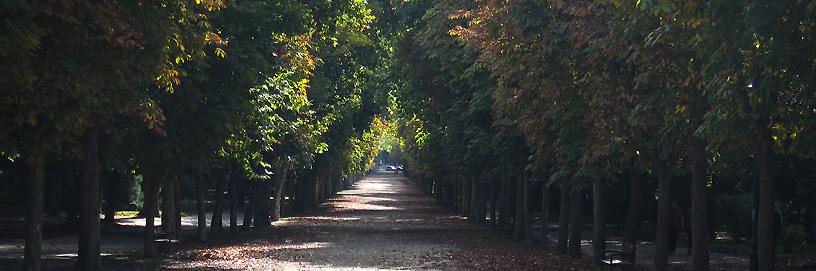 Paseo de la Isla, Burgos.