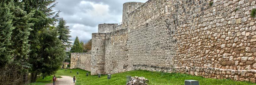 Castillo de Burgos