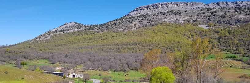 La Peña del Águila. Mamolar, Burgos / ALC.