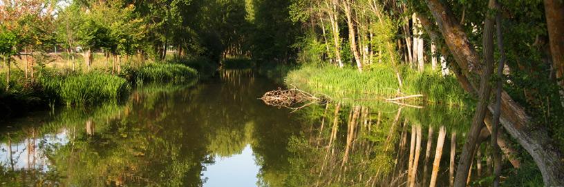 El Burgo de Osma, Soria.