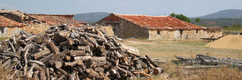 Hinojar del Rey, Burgos.