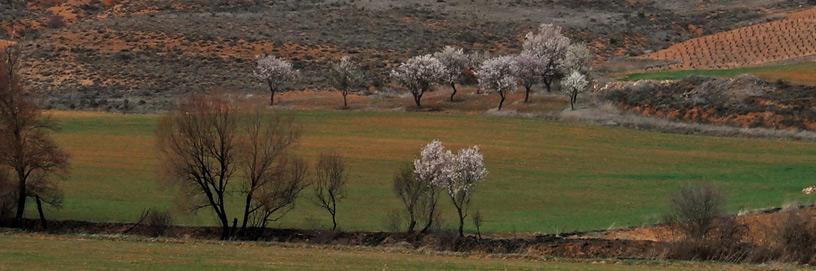 Matanza de Soria, Soria.