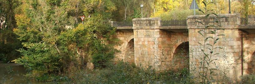 San Esteban de Gormaz, Soria