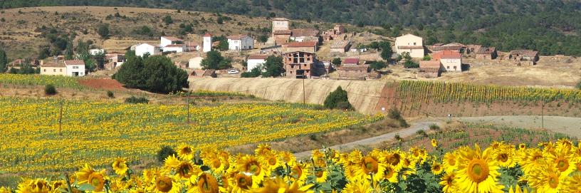 Teroleja, Guadalajara.