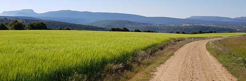 Valle del Arlanza, Covarrubias. Burgos / ALC