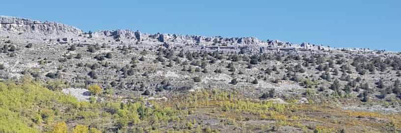 Mamolar, Burgos / ALC.