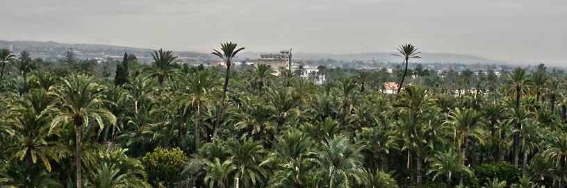 Elche, Alicante.